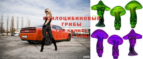 шишки Балабаново